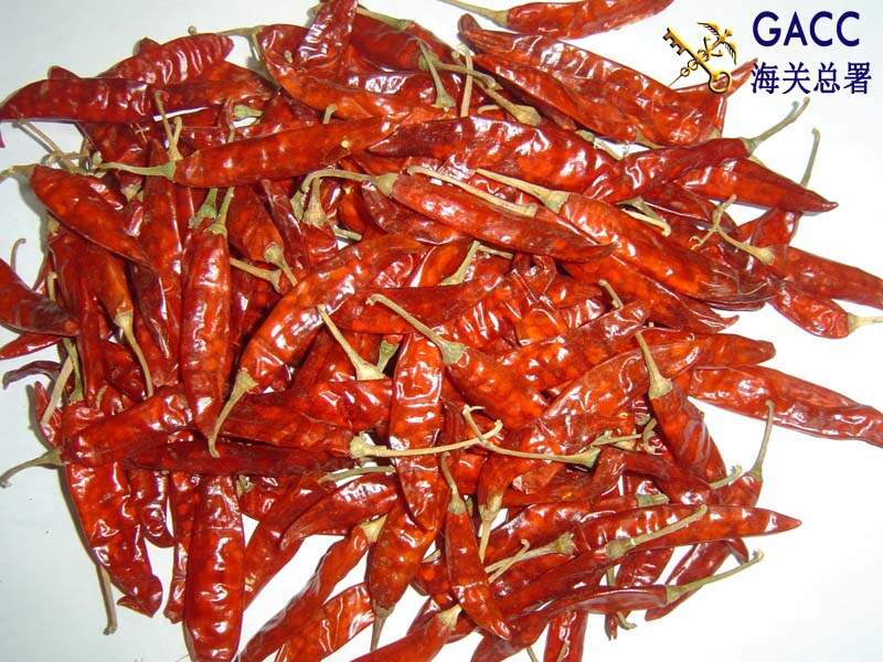 Xuất khẩu ớt sang Trung Quốc 2