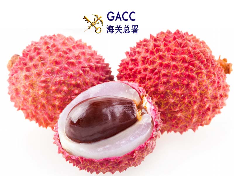 Tình hình xuất khẩu vải thiều sang Trung Quốc 2