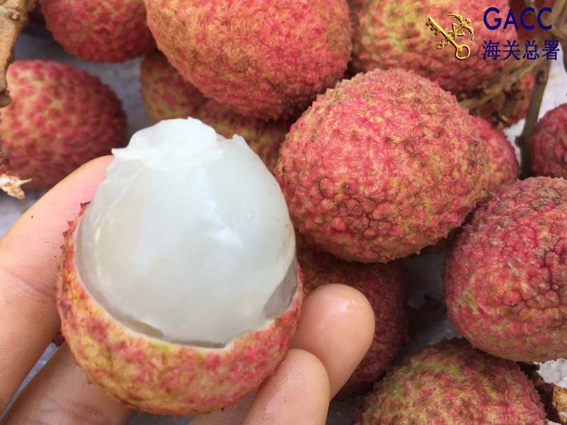 Thủ tục xuất khẩu vải thiều sang Trung Quốc
