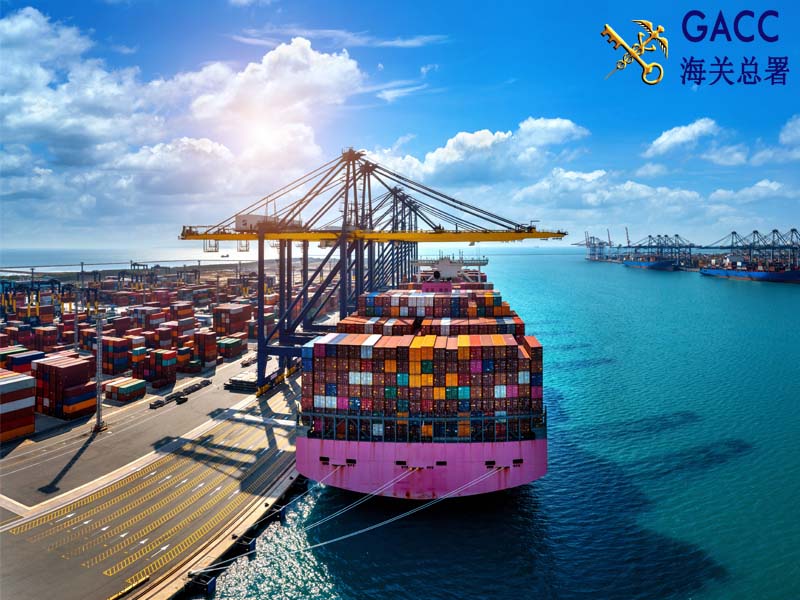 Xuất nhập khẩu Việt Nam - Trung Quốc-2