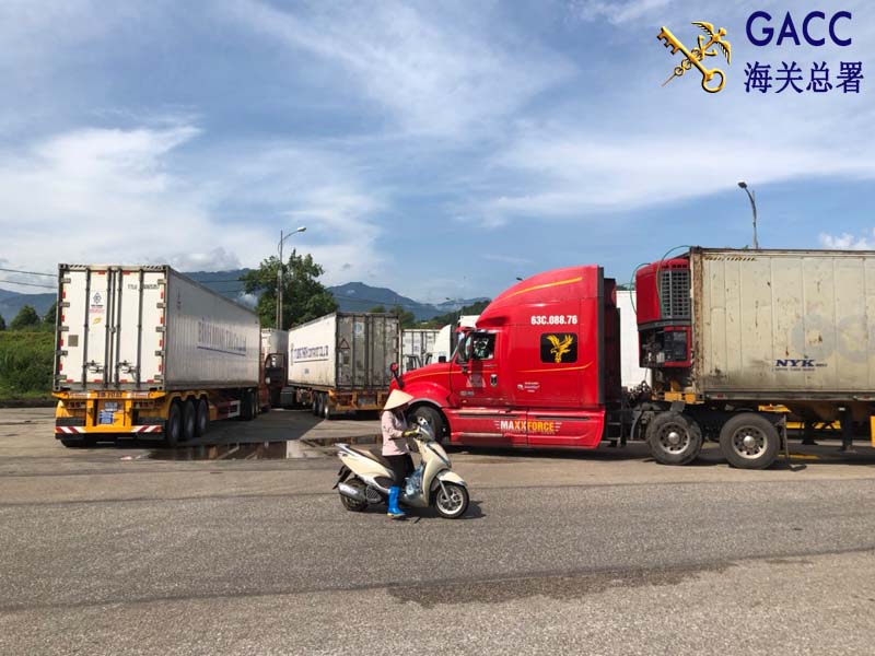 Hàng nông sản xuất khẩu sang Trung Quốc