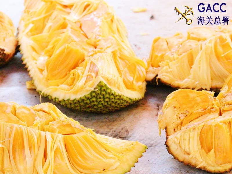 Thủ tục xuất khẩu trái cây sang Trung Quốc nhanh chóng