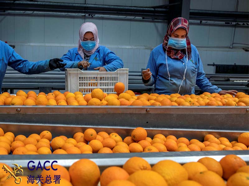 Các loại trái cây xuất khẩu sang thị trường Trung Quốc