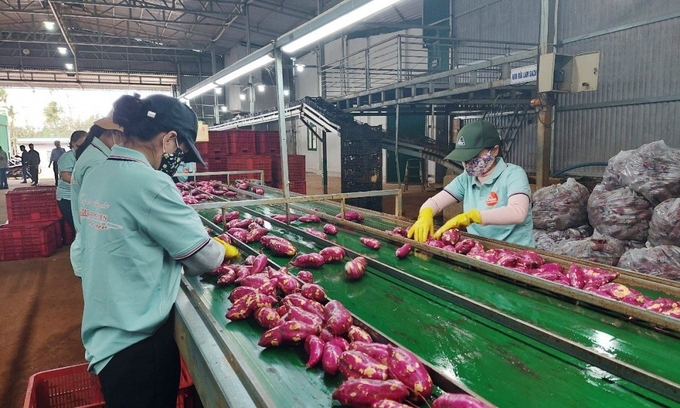Lưu bản nháp tự động Lưu bản nháp tự động